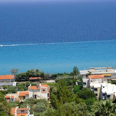 Danae's Chaniotis